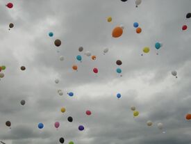 Fête des écoles 2017