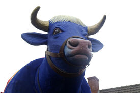 Notre mascotte