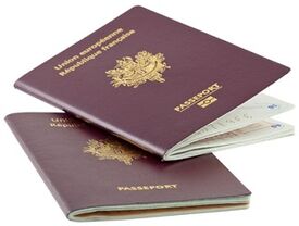 Passeport biométrique